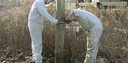 hydro sewer services in NJ-Images